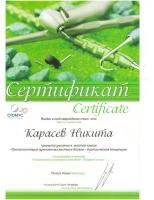 Сертификат врача Карасев Н.О.