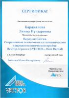 2016 Пародонтология. Современные технологии на гигиеническом и пародонтологическом приеме. Вектор-терапия (VECTOR, Durr Dental)