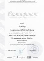 Сертификат врача Левин А.Л.