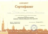 Сертификат врача Дружина С.Б.