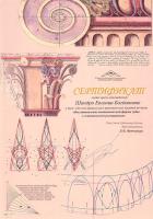Сертификат врача Шандро Е.Б.