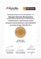 Сертификат врача Шандро Е.Б.