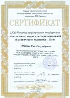 Сертификат врача Мальков И.А.