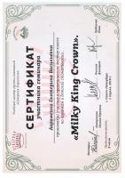 Сертификат Авраменко Е.В.