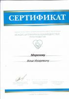 Сертификат врача Морозов И.И.