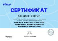 Сертификат врача Дзоциев Г.П.