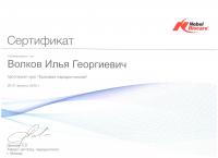 Сертификат врача Волков И.Г.