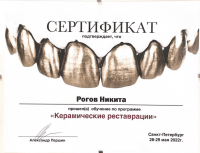 Сертификат врача Рогов Н.А.