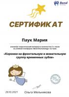 Сертификат врача Паук М.С.