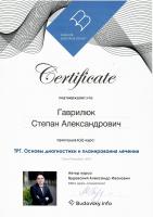 Сертификат врача Гаврилюк С.А.
