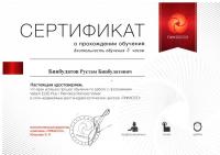Сертификат врача Бинбулатов Р.Б.