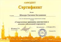 Сертификат врача Шандро Е.Б.