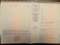 Сертификат врача Вислогузов А.В.