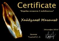 Сертификат врача Хайбулаев М.