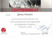 Сертификат врача Анишко Д.Е.