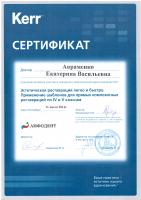 Сертификат Авраменко Е.В.