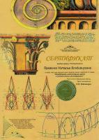 Сертификат врача Яременко Н.В.