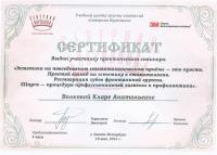 Сертификат врача Волкова К.А.