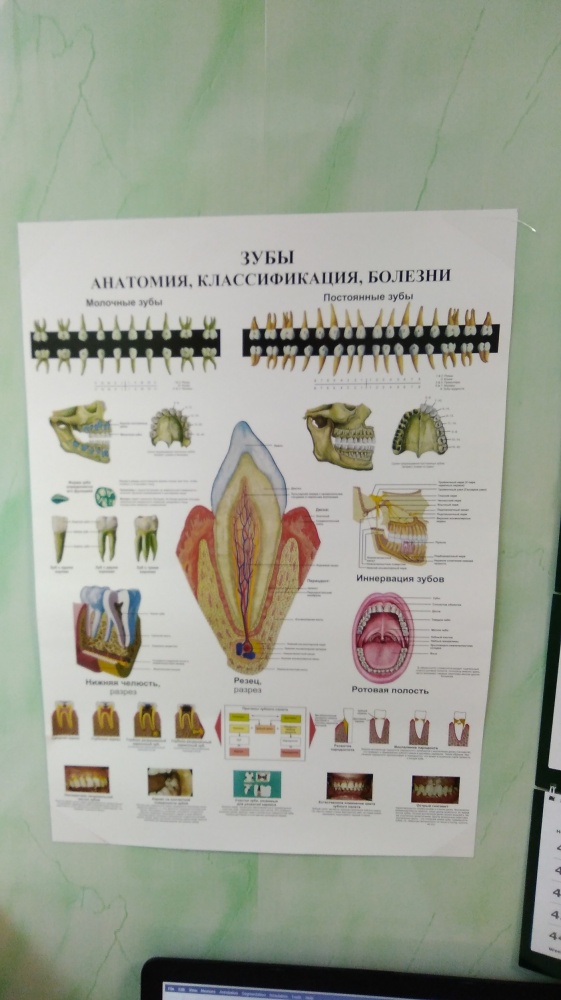 Иллюстрационные материалы в клинике 