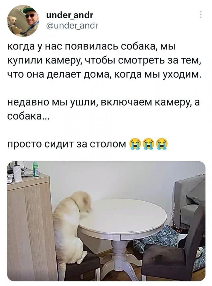 слайд