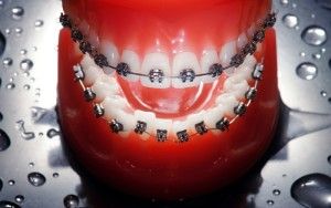 Фотография Эстедент 2