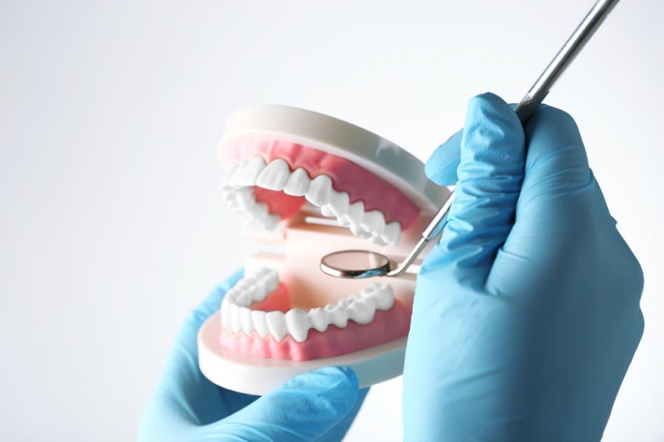 Как проходит прием у стоматолога-ортопеда?