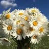 Наталья Волкова