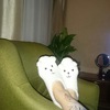 Наталия Макушева