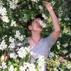 Елена Васильева