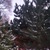 Ленусик Константиновна