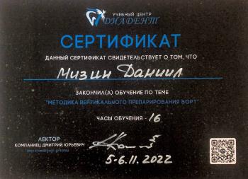 Сертификат врача Мизин Д.И.