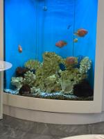 Алина Бубнова, изображение к комментарию.