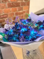 Петрова Людмила Николаевна, изображение к комментарию.