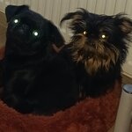 крылова елена