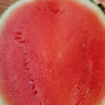 Михаил Тртфахин