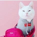LEOpoldick