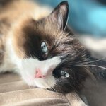 Кристина Ххх