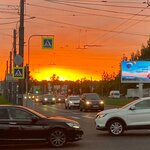 Лейла Курочка