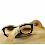 Елена Голованова