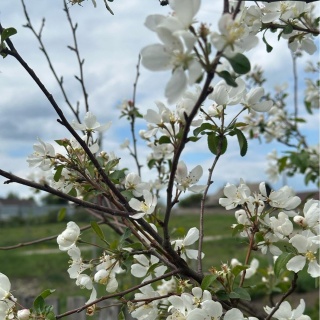 🩵Ксения Садина🩵