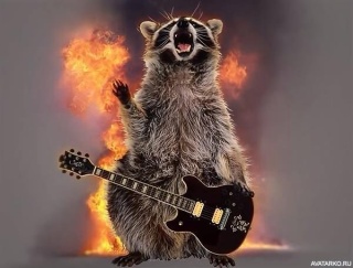 Михаил Лаптев