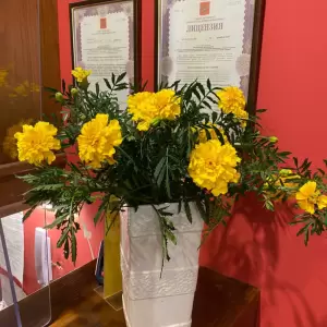 Фотография ЮНИДЕНТ 4