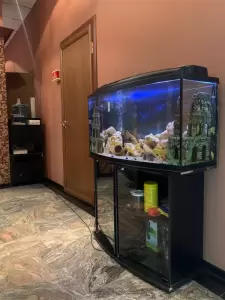 Фотография ЮНИДЕНТ 4