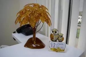 Фотография Доктора Джагаряна 4