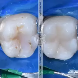 Фотография Гильдия Стоматологов 4