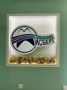 Фотография Айсберг   4