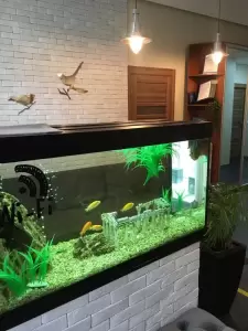 Фотография Magic Dental 2